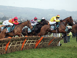 Cheltenham Races