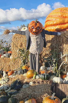 Halloween på Thorslunda