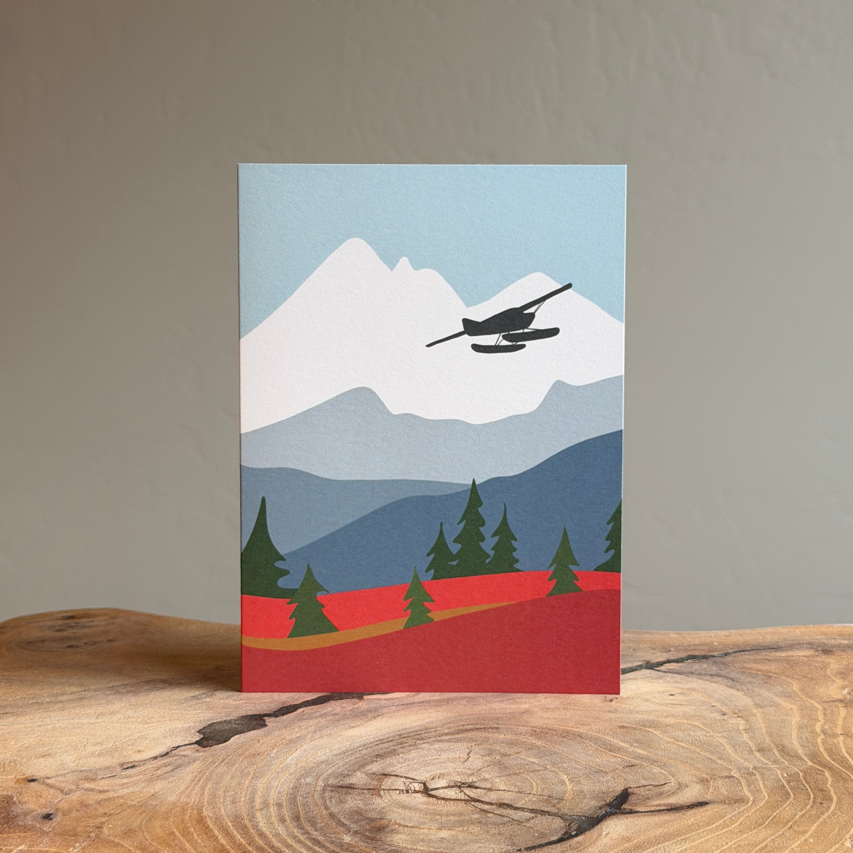 Plane Greeting Card {blank on back}