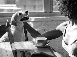 Protected leave for sick pets is gaining traction