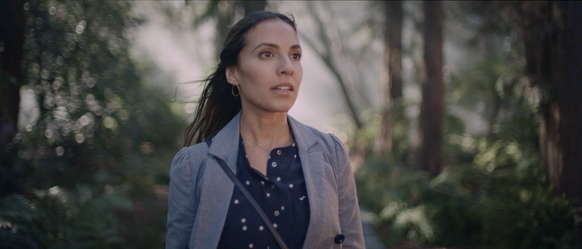 Screenshot 2025-02-07 at 11.50.53 AM.png