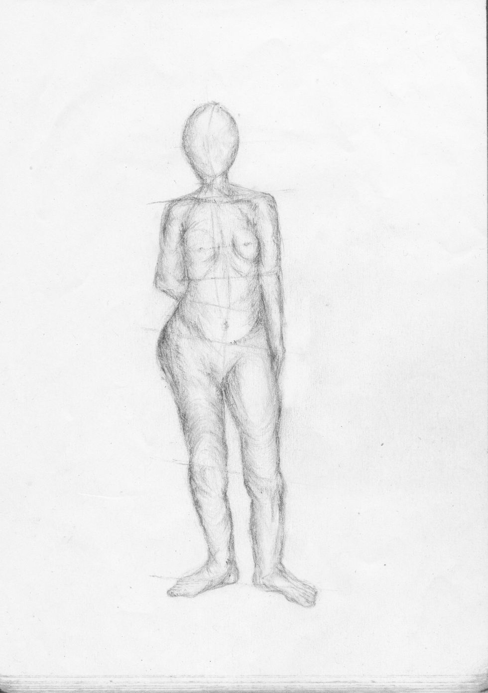 Anatomically speaking