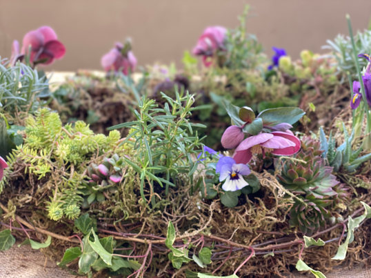 Sustainable, slightly wild, eco-friendly natural funeral flowers with a low carbon footprint based in South Yorkshire