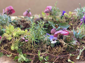 Sustainable, slightly wild, eco-friendly natural funeral flowers with a low carbon footprint based in South Yorkshire
