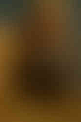 Salvador Dali inspired Fendi for Harper's Bazaar Photographed by Lilli Waters and Styled b y Ewan Bell