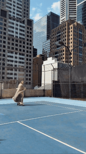 GUCCI X ARYNA SABALENKA 