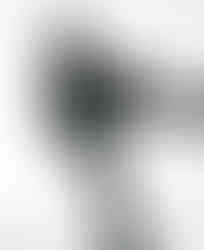 Gout Gout for GQ Photographed by Daphne Nguyen and styled by Ewan Bell