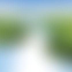 Where do I ‘Settle’?