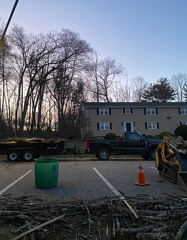 Storm Cleanup