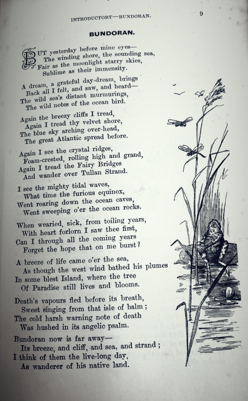 P9.jpg