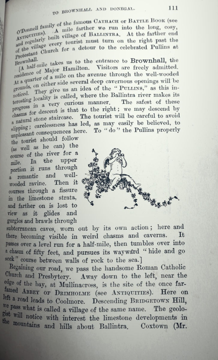 P111.jpg