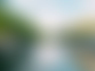 Hidden Gems in Amsterdam: A Food & Drink Guide 