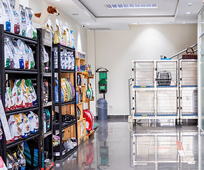 Veterinaria Mordisco