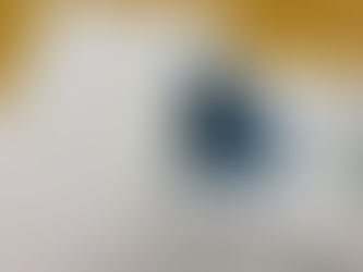 都議会自民党主催の勉強会