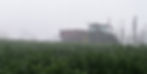 RAIN Kopie.jpg