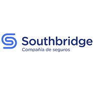 Logo Southbridge