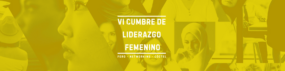 Banner VI CLF.png