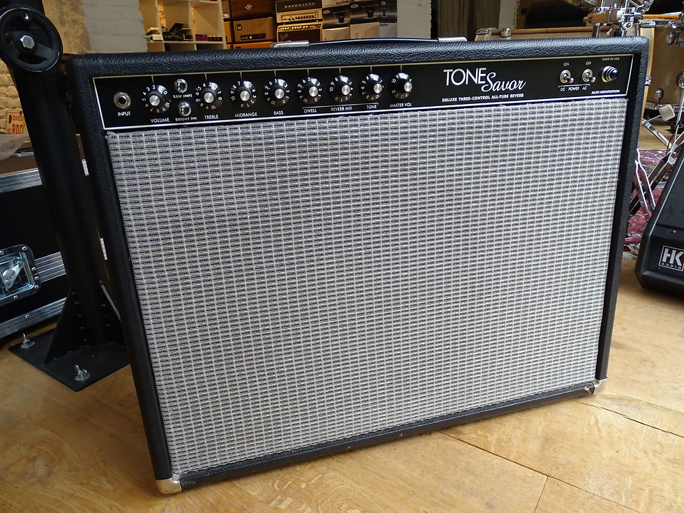 Miniature : Allen Amplification Tone Savor (Used)