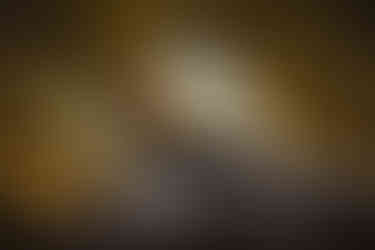 all wheel drive car in forest