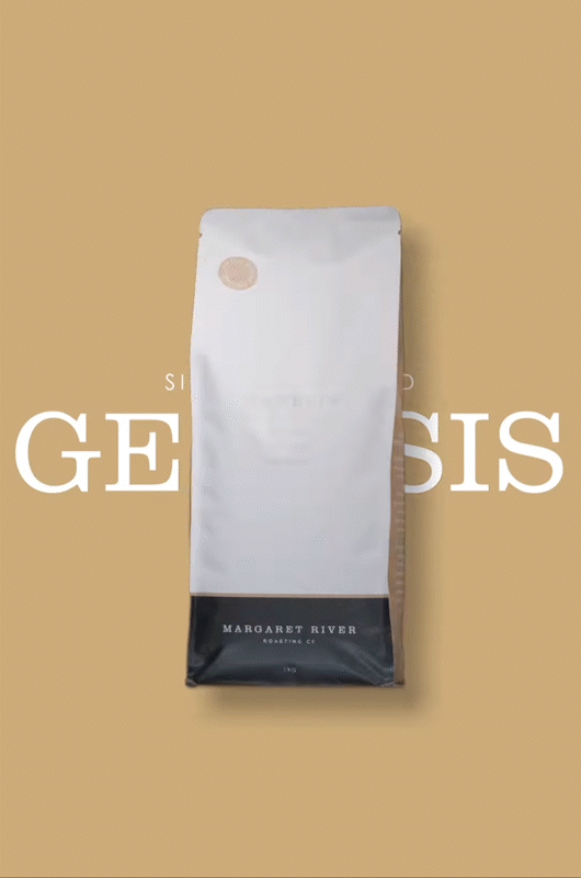 Genesis 1_1.gif
