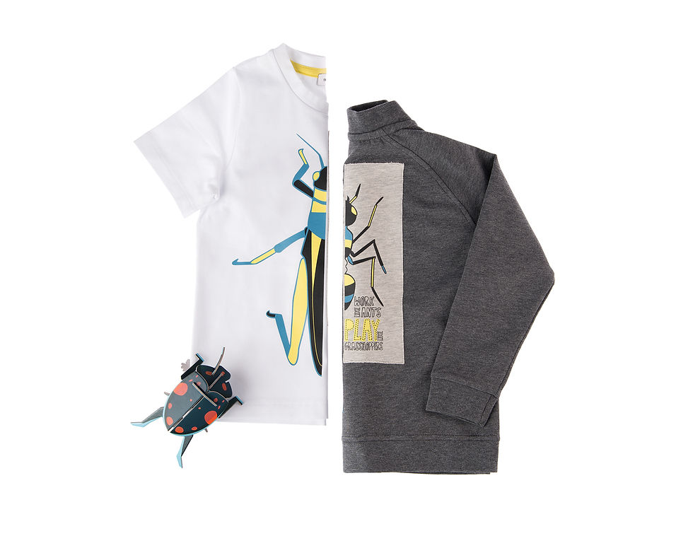 Miniaturbild: Sweatjacke ANT