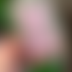 "YOU'LL NEVER PLAY A LEADING LADY": BABE I'VE BEEN DOING IT MY WHOLE LIFE.