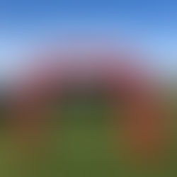 227 Starter beim 14. Auetal-Oktoberlauf