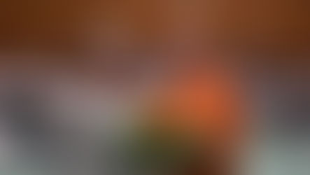 Danke Birgit für 20 Jahre Vorstandstätigkeit!