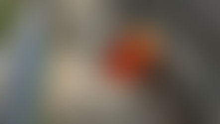 Vandalismus am Rötenbrook - Wir erhöhen die Belohnung auf 1.000 €