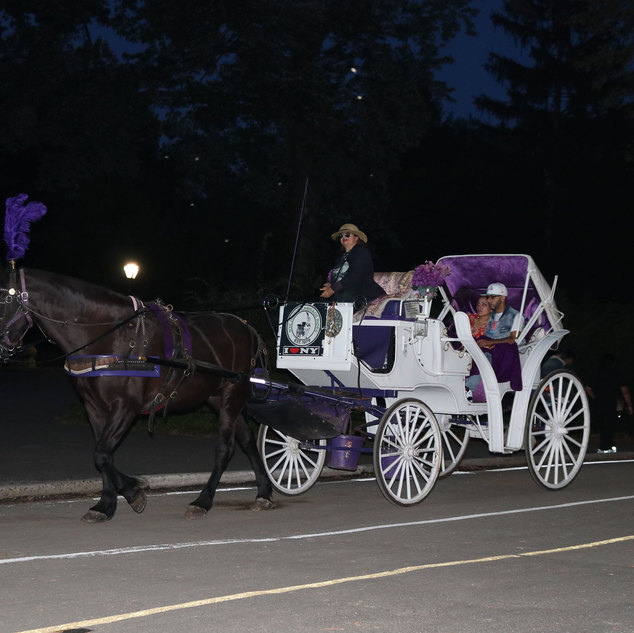 Central Park Carriage Rides | NYC Horse Carriage Rides EST.1979
