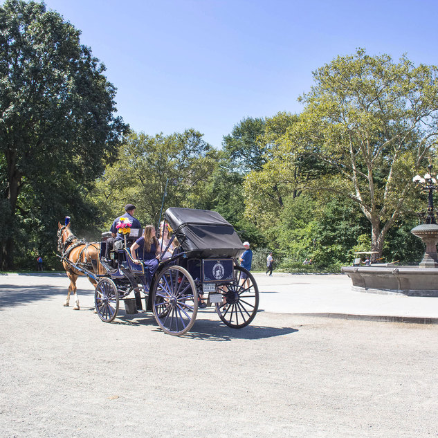 Central Park Carriage Rides | NYC Horse Carriage Rides EST.1979