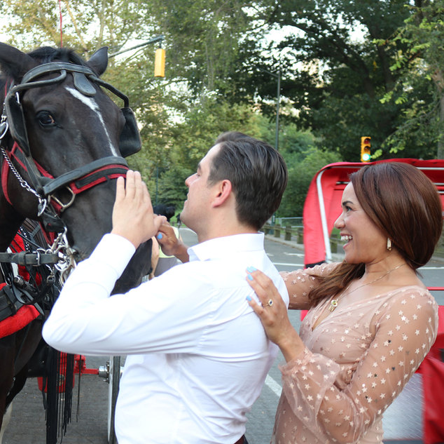 Central Park Carriage Rides | NYC Horse Carriage Rides EST.1979