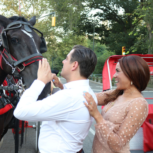 Central Park Carriage Rides | NYC Horse Carriage Rides EST.1979