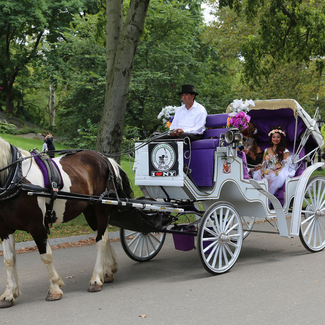 Central Park Carriage Rides | NYC Horse Carriage Rides EST.1979