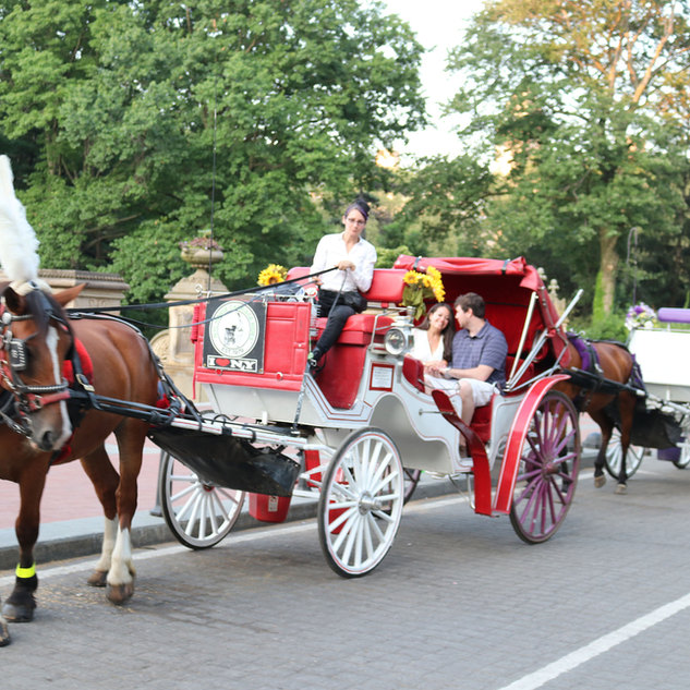 Central Park Carriage Rides | NYC Horse Carriage Rides EST.1979