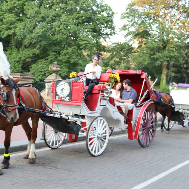 Central Park Carriage Rides | NYC Horse Carriage Rides EST.1979