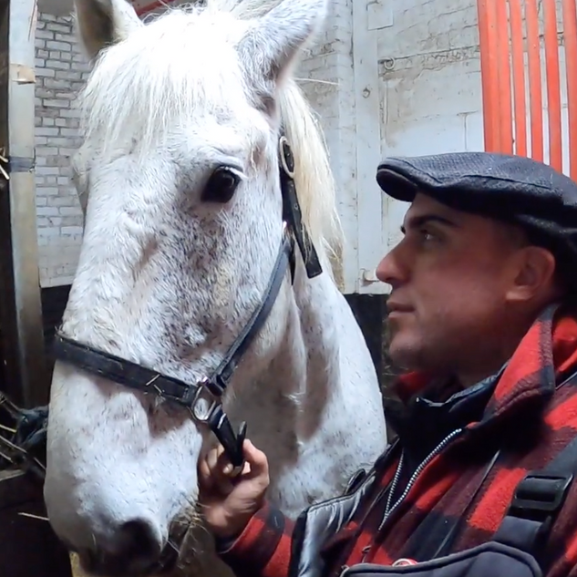 Behind Scenes @ NYC Horse Carriage Rides Stable