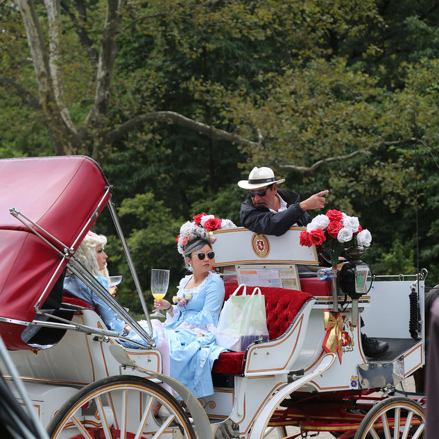 Central Park Carriage Rides | NYC Horse Carriage Rides EST.1979