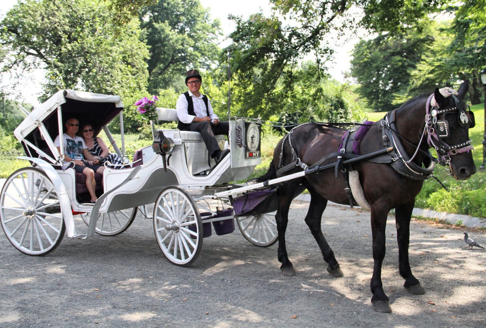Traditional Central Park Carriage Rides!