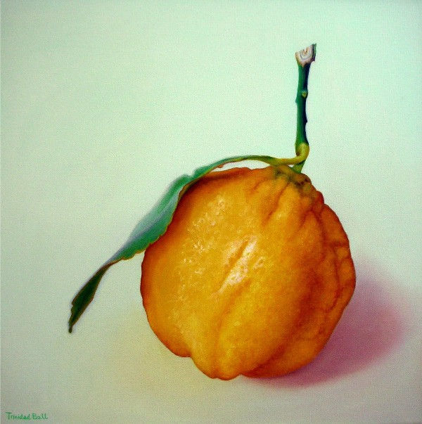 Lemon 2011