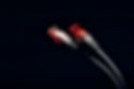 Pair of network cables on dark background.jpg