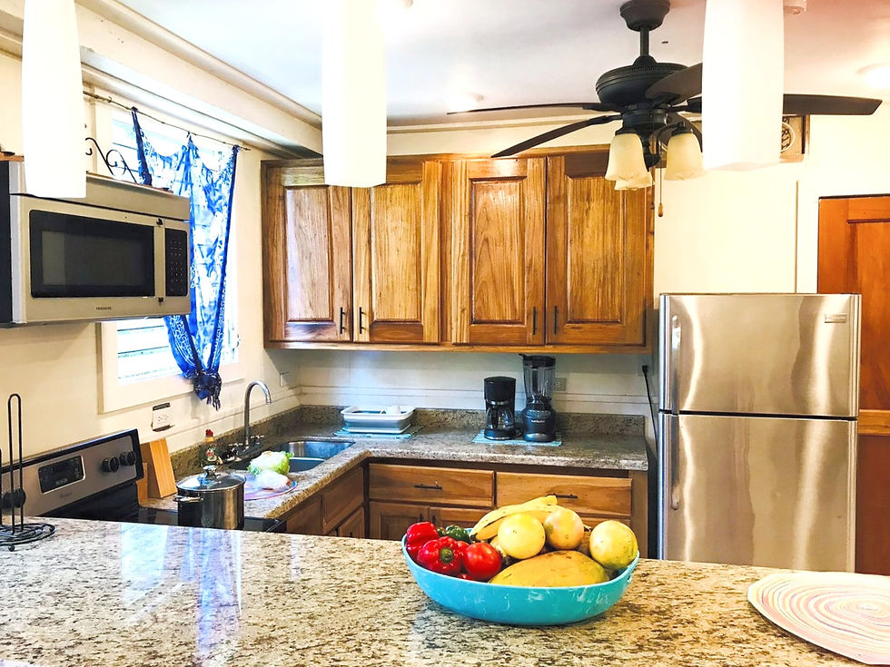 Guest's kitchen