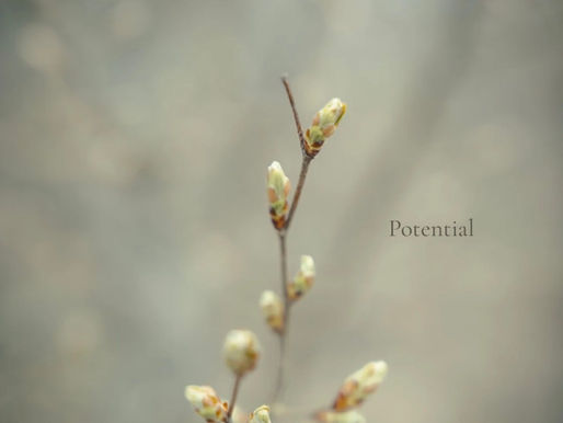 Rediscover Your Soul's Rhythm with Unwind Touch: A Journey into Conscious Healing