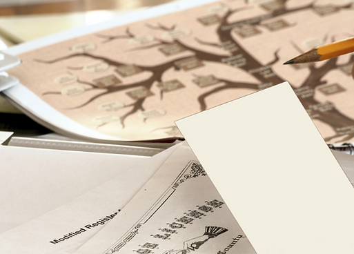 Psychogénéalogie Biarritz | Nathalie Da Costa