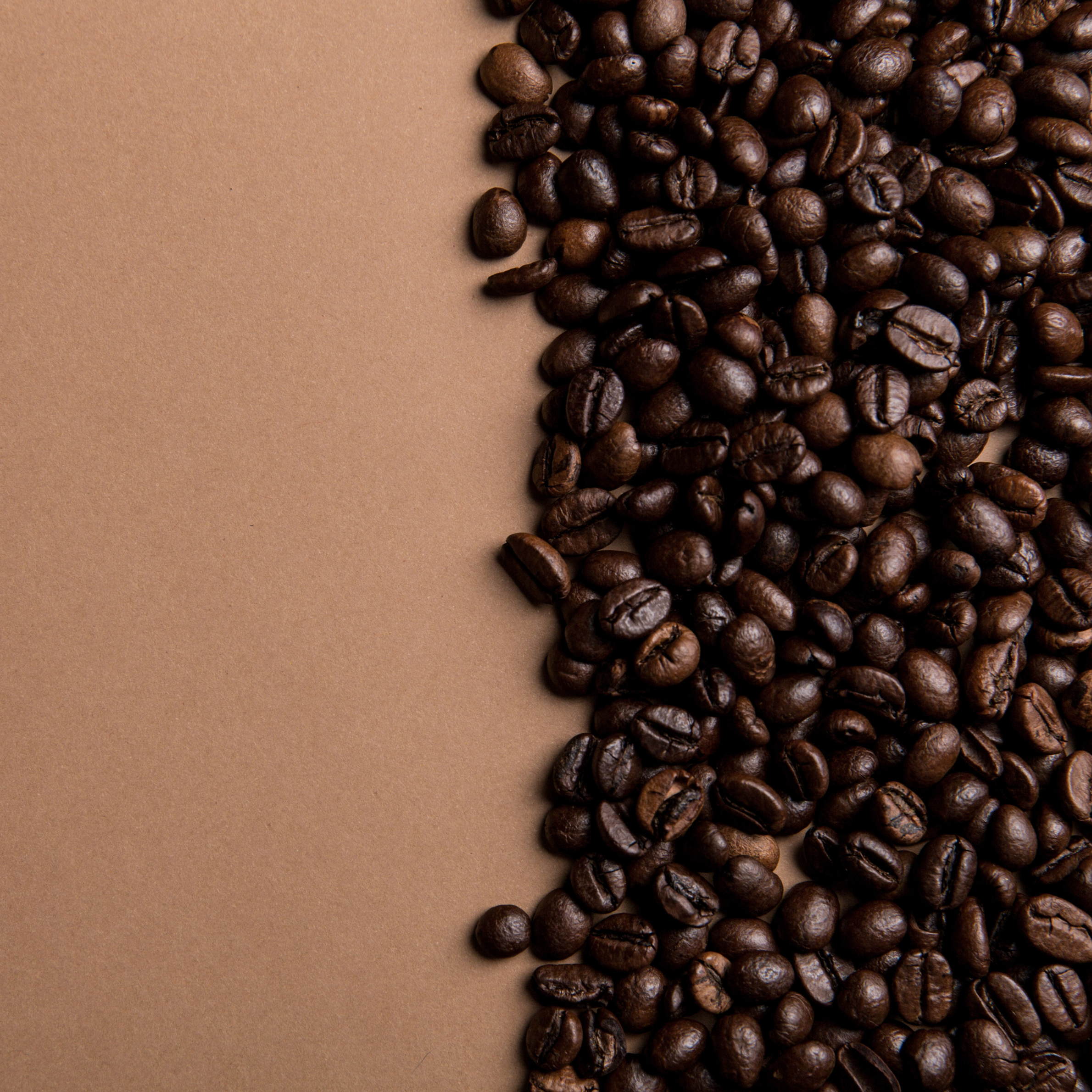 Bougie Café artisanale — café fraîchement coulé | Atelier #7