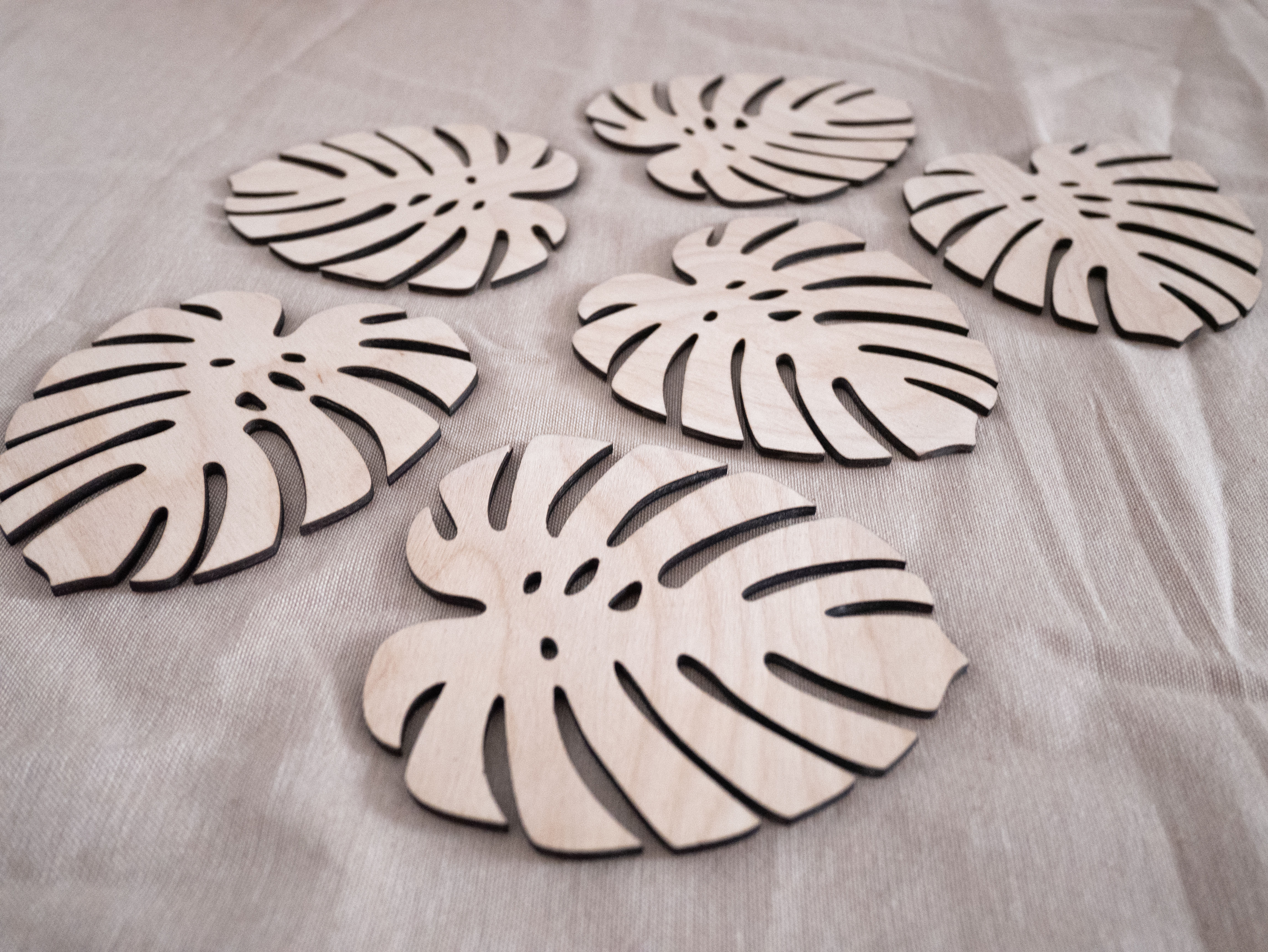 6 Sous-verres Monstera