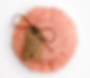 P1220135.png