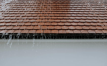 pexels-adrien-olichon-1257089-2663254.jpg