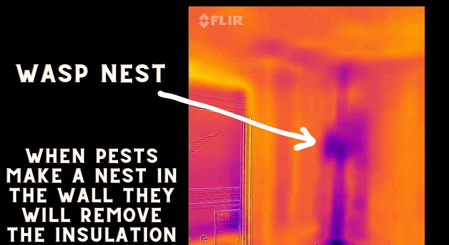 Portfolio Celtic Carpentry Wor