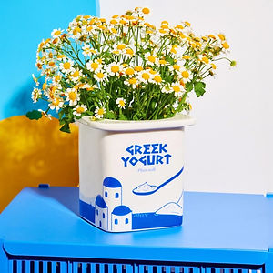 vase-cache-pot-ceramique-fluid-market-yaourt-grec.jpg